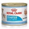 Royal Canin Starter Mother Babydog laktacja 195g mokra karma dla psa